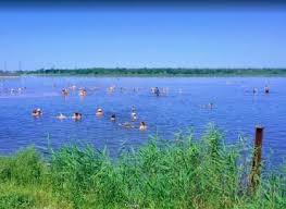 Toate camerele sunt dotate cu televizor, cablu tv, telefon, baie cu cadă sau cabină duş. Hotel Lacul Sarat Lacu Sarat Romania Alfitravel Ro