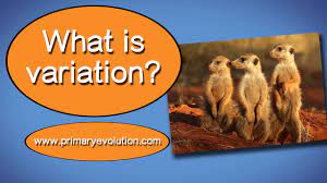 Check spelling or type a new query. What Is Variation Youtube