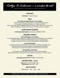 Pin On Resume Examples
