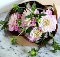 Make your flowers last longer than ever with our easy tips. Gardening 101 Dahlias Gardenista Flowers Last Longer Gardenista Fresh Flowers Arrangements