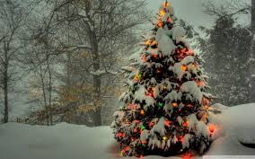 The best images of christmas to download . Free Christmas Tree Wallpapers Wallpaper Cave