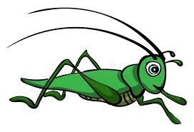 Illustration about line drawing of a grasshopper/insect. Grasshopper Wasp Stock Illustrations 1 037 Grasshopper Wasp Stock Illustrations Vectors Clipart Dreamstime