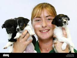 Rspca dog hi-res stock photography and images