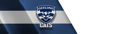 Afl live pass is required to view afl.tv & match replays. Geelong Cats Vs Richmond Tigers Afl Live Scores