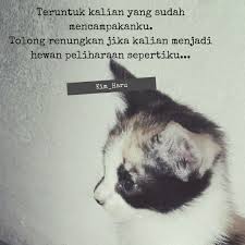 Puisi dokter hewan 3 bait kumpulan puisi. Puisi Tentang Dokter Hewan Cara Golden