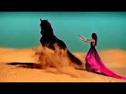 красивая музыка о нежности и любви арабатский конь Mp4 скачать Beautiful Video Devushka I Loshad Youtube