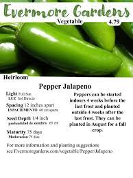 Maybe you would like to learn more about one of these? Evermore Gardens Bushel Buster Jalapeno Pepper Seed Packets