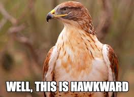 15 Animal Puns Ewe Can T Live Without Animal Puns Animal Jokes Animal Memes