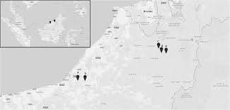 Wong, chin yau (table tennis). Carriage Of Upper Respiratory Tract Pathogens In Rural Communities Of Sarawak Malaysian Borneo Pneumonia Full Text