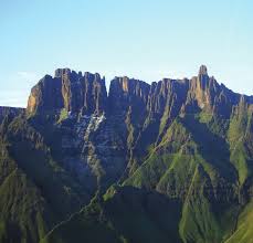 Image result for Styppeiochloa gynoglossa