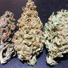 Contamos con una amplia selección de semillas de marihuana feminizadas, autoflorecientes, fertilizantes orgánicos, iluminación led y muchas cosas más. Vip Seeds Taison Auto Grow Journal Harvest11 By Growdiaries