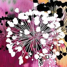 This Allium Print Begins As A Drawing From Allium Seed Heads In My Garden I Then Print Onto Photo Paper Where I Add M Flower Illustration Flower Seeds Flowers