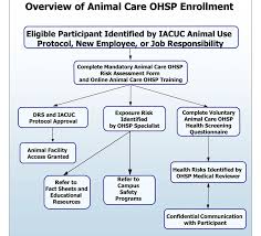 Flow Chart Of A Participants Enrollment Into The Animal