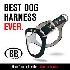 Buddy Belts Original Durable Classic Leather Dog Harness