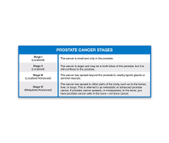 Image result for Prostate Cancer Staging