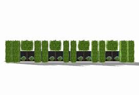 Einzigartig 42 Fur Rote Ameisen Im Garten Check More At Https Www Estadoproperties Com Rote Ameisen Im Garten