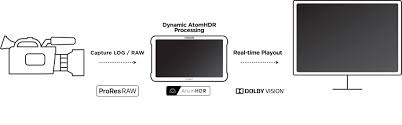 Shogun 7 Atomos