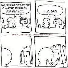 Amor A Primera Vista Humor Memes Comics