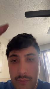 Steven Wilmot Need Pitched Up