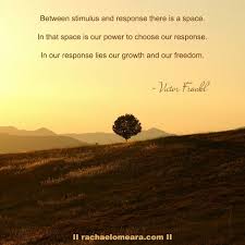 Between Stimulus And Response There Is The Power Of Pause Victorfrankl Victor Frankl No Response Outdoor