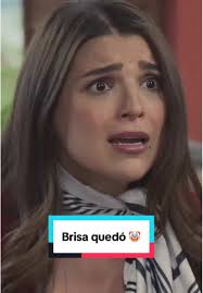 Perla Destroza el Vestido CARÍSIMO de Brisa