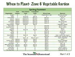Depending on your average last frost date you may want to slide all the dates i use for planting. When To Plant Vegetables In Zone 6 The Seasonal Homestead