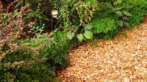 Get the information you need now. Can I Use Wood Chip Mulch From A Tree Service Garden Gate