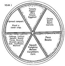 the farmer fred rant crop rotation plan for the home garden