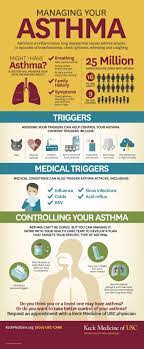 The Anatomy Of Asthma Keck Medicine Of Usc Asthma Medical Conditions Medicine
