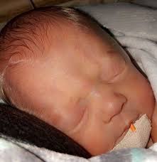 Ava Renee Wood (2018-2019)