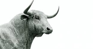 Bittorrent (btt), not only a pioneer but a leader in this industry, became the first torrent project that integrates with blockchain technology. Bittorrent Cryptocurrency Surges 197 As It Becomes Next Pump Target After Dogecoin What You Need To Know Benzinga