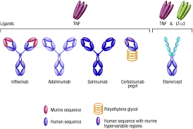Image result for TNF Inhibitor