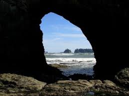 Tidepool Activities Olympic National Park U S National