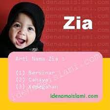 Kuparkir mercy kesayanganku di sebuah mall yang terletak tak jauh dari kantorku. Ini Arti Nama Zia Dalam Islam Idenamaislami Com