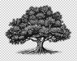 Tree Oak Drawing Woodcut Illustration Bush Hand Monochrome Drawn Png Klipartz It can be downloaded in best resolution and used for design and web design. tree oak drawing woodcut illustration