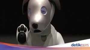 Putih adalah warna positif dan seekor anjing melambangkan persahabatan dan kebahagiaan. Tentang Kucing Anjing Dan Agama