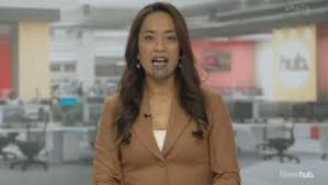 Porn company buys Vidme, embeds hardcore pornography on NZ Herald and Stuff  websites | Stuff