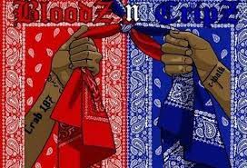 Here is the thing about gang identification. Gang Colors Effy Moom