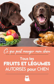Pin On Pet Health