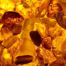 SHOP Rose Garden Heist Bougie Parfumée — DEBORAH BARNET