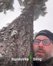 𝙍𝙖𝙥𝙥𝙤𝙧𝙩 𝙛𝙧𝙖̊𝙣 𝙨𝙠𝙤𝙜𝙚𝙣 🌲, 📍 Strax utanför Edsbyn,  Hälsingland, 👤 David Sundell, virkesinköpare och skoglig rådgivare hos  Rundvirke Skog, 💬 Vi har haft en fin förmiddag i skogen! Jag och kollegan  Jon ...