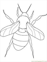 Our insect coloring pages can help you enhance your discovery into the bug life. Insect Coloring Pages Coloring Home