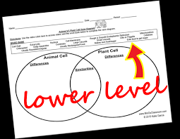 Animal cells have centrosomes (or a pair of centrioles), and lysosomes, whereas plant cells do not. The Venn Diagram Comes In 2 Versions Which Allows You Lucky Seven Full Size Png Download Seekpng