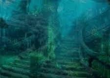 Https Encrypted Tbn0 Gstatic Com Images Q Tbn 3aand9gcr98cj21dhufabe7vblza6azfa9u4oedgrzgw Usqp Cau