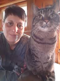 Will a hyperactive 1-year-old neutered bear calm down?