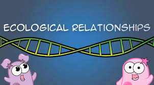Ecological Relationships Amoeba Sisters Video Tuesday May 28 2019 Relationship Worksheets Kids Worksheets Printables Free Kindergarten Worksheets
