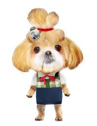 Check spelling or type a new query. Realistic Isabelle Animalcrossing