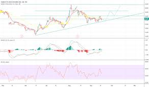 Cweb Stock Price And Chart Tsx Cweb Tradingview