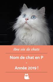 En 2019 Si Vous Adoptez Un Chat C Est Avec La Lettre P Que Vous Devrez Le Nommer Vous Etes En Manque D Idees Noms De Chat Chat Femelle Nom Pour Chat