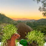 Chia Critters: Hand Built Ceramics